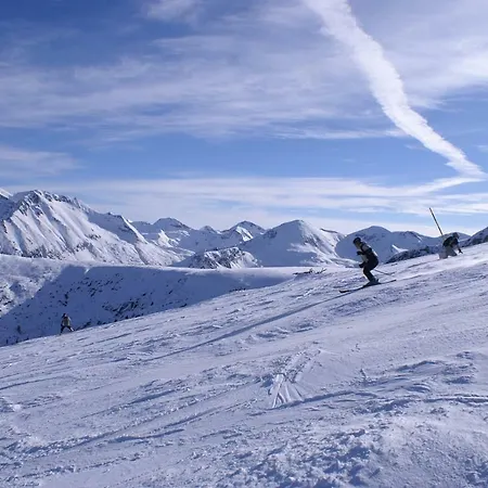 Daire Bluebrick Ski *