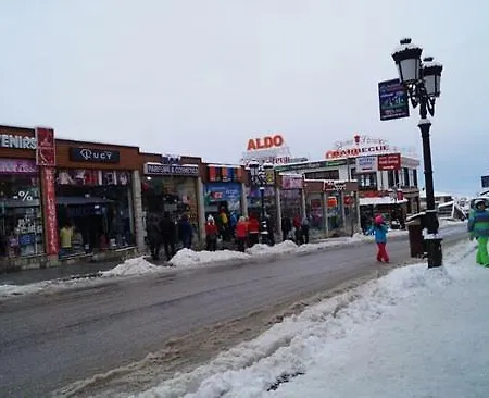Daire Bluebrick Ski Bansko