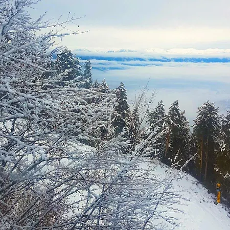 Bluebrick Ski Bansko