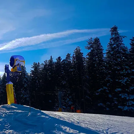 Bluebrick Ski Daire Bansko