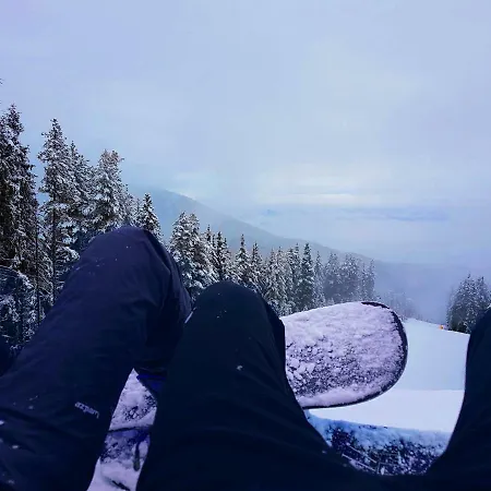 Bluebrick Ski Daire
