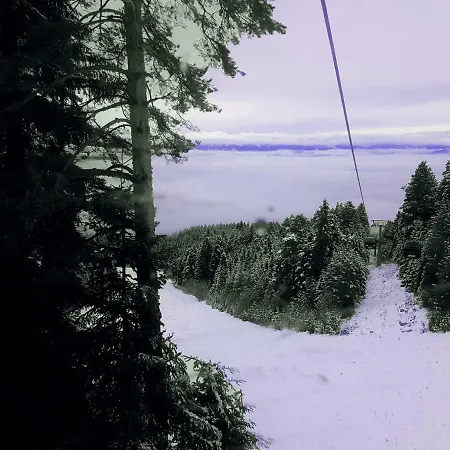 Bluebrick Ski Daire